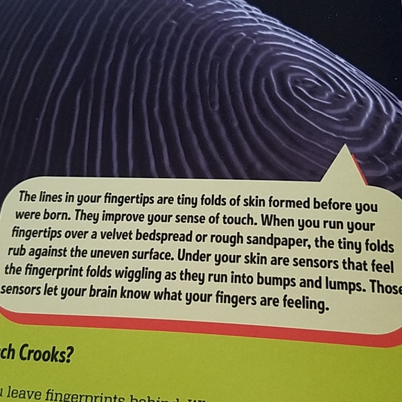 The Hand Book- 100% KLUTZ Certified - Picture 8 of 16